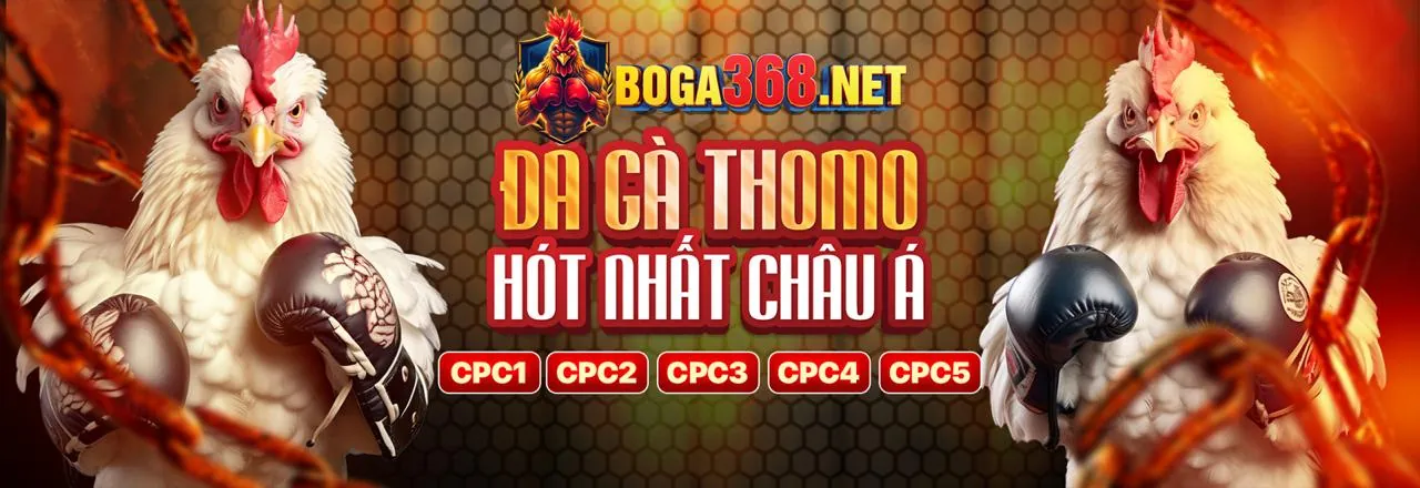 Hướng dẫn chơi Bắn Cá H5 cho người mới bắt đầu